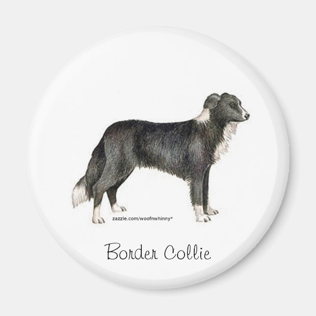 Aimant Bordure Collie (Devant)