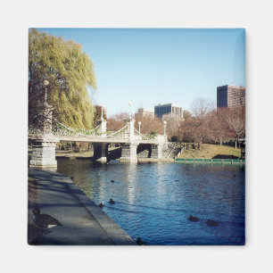 Aimant boston commun