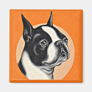Aimant Boston terrier