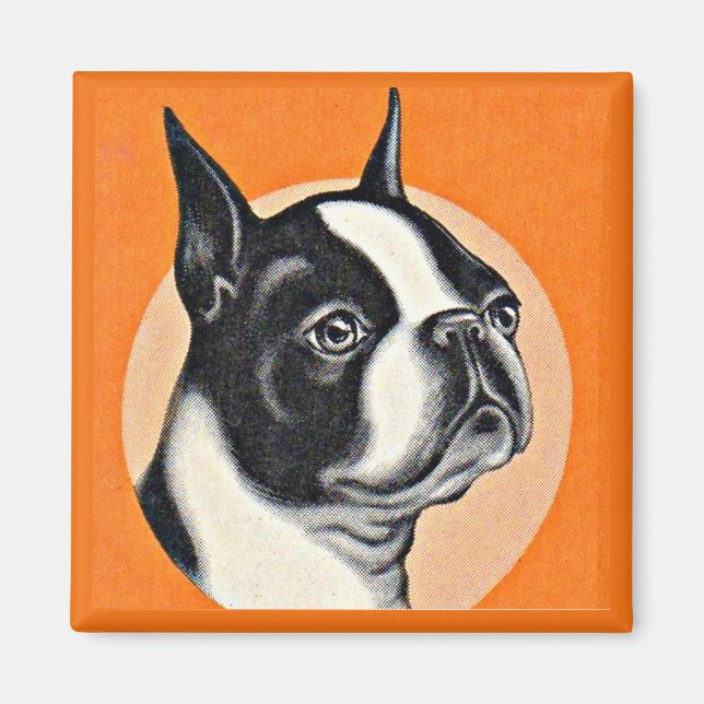 Aimant Boston terrier (Devant)
