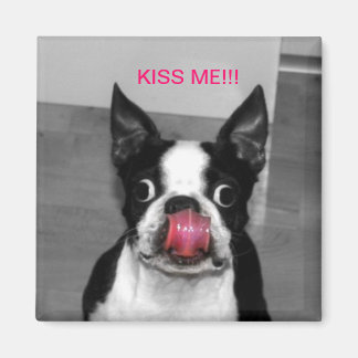 AIMANT BOSTON TERRIER