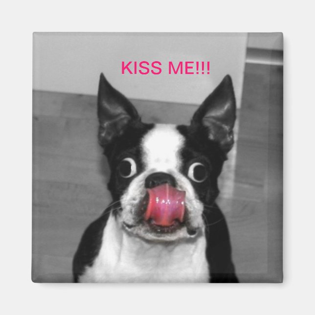 AIMANT BOSTON TERRIER (Devant)