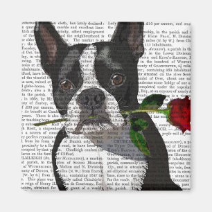 Aimant Boston Terrier avec Rose à la bouche