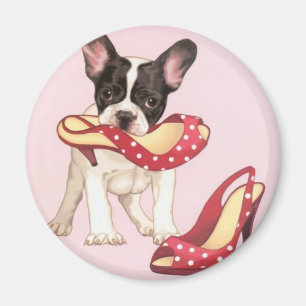 Aimant Boston Terrier Chiot Avec Chaussures