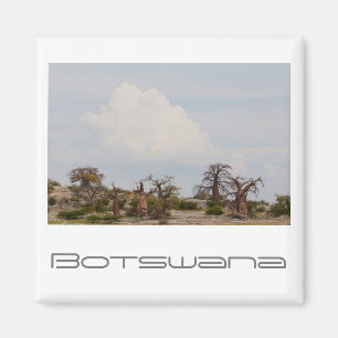 Aimant Botswana Kubu Baobab Island Go Travel