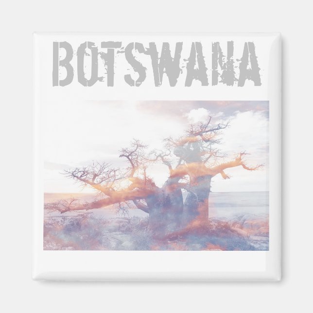 Aimant Botswana Kubu Island Baobab Tree Magazine (Devant)