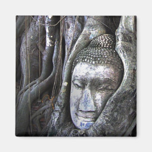 Aimant Bouddha Et Le Bouddhisme Arbre Thaïlande Photograp