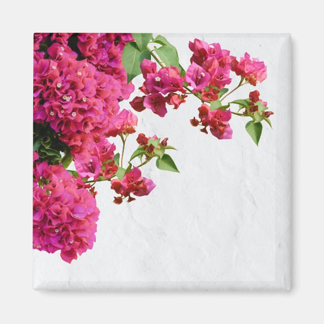 Aimant Bougainvilliers Floral Méditerranée Grecque (Devant)