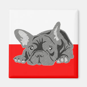 Aimant Bouledogue Français