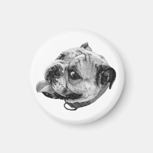 Aimant Bouledogue Gentil