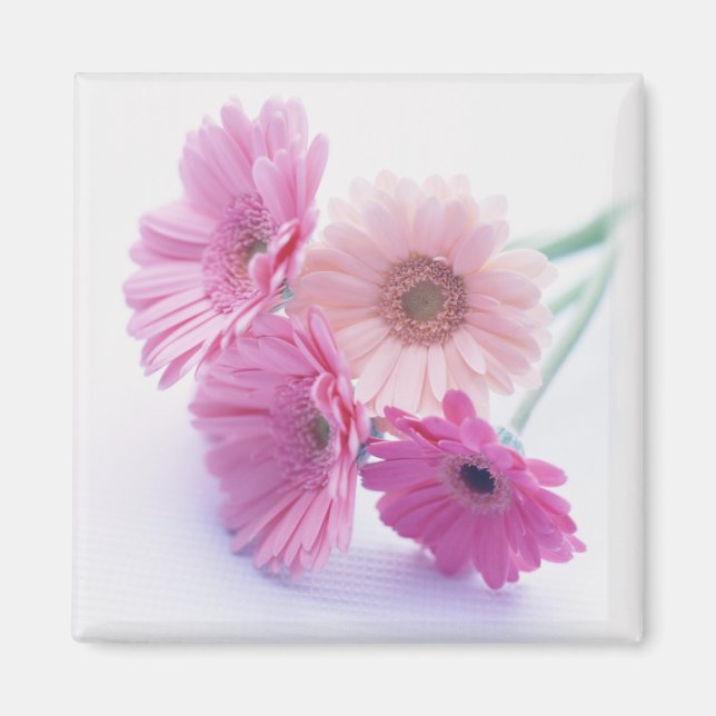 Aimant Bounty du jardin 8 (Devant)