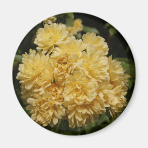 Aimant bouquet jaune