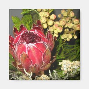 Aimant Bouquet Protea