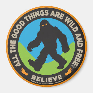 Aimant Bouton coloré Bigfoot