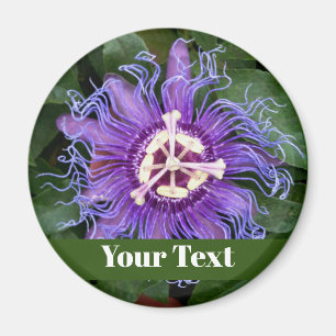 Aimant Bouton PassionFlower avec nom