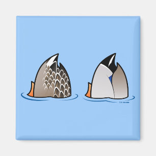 Aimant Bouts de canard