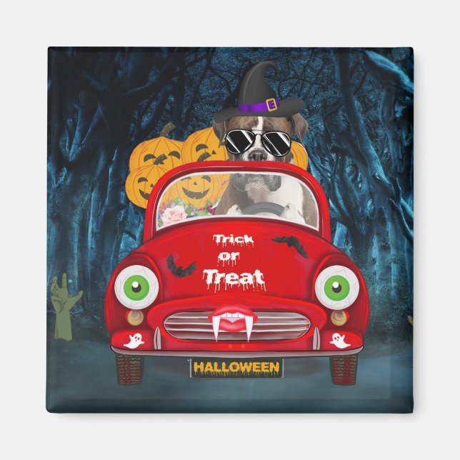 Aimant Boxer Chien Conduite Voiture Effrayant Halloween (Devant)