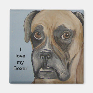 Aimant Boxeur