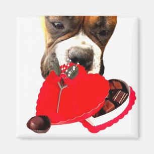 Aimant Boxeur de Saint-Valentin avec l'aimant de