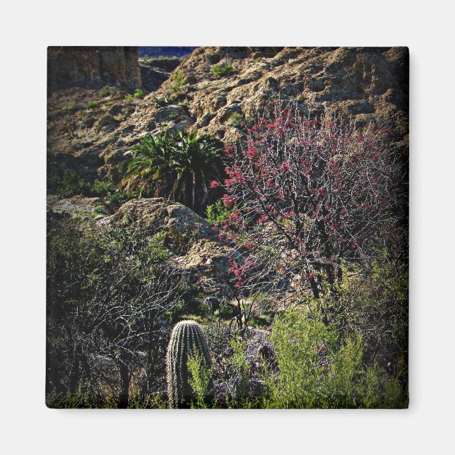 Aimant Boyce Thompson Arboretum (Devant)