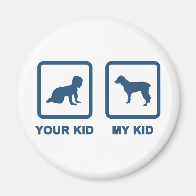 Aimant Boykin Spaniel (Devant)