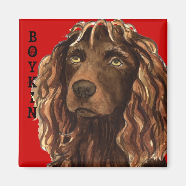 Aimant Boykin Spaniel Color Block (Devant)