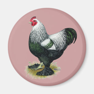Aimant Brahma : Coq foncé