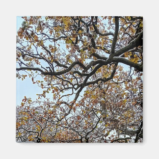 Aimant Branches, avec feuilles orange et neige