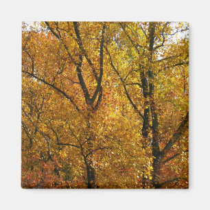 Aimant Branches de Feuilles Jaunes Bright Automne Coloré