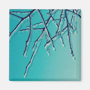 Aimant branches de glace