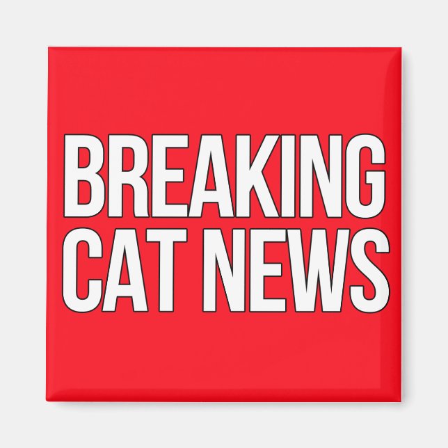 Aimant Breaking Cat News (Devant)