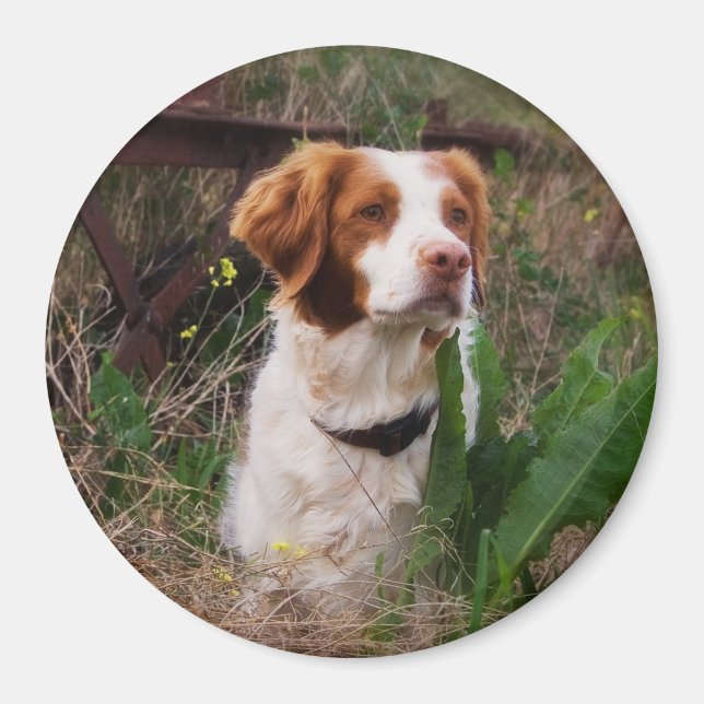 Aimant Bretagne (Devant)