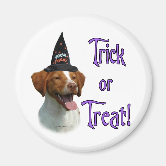 Aimant Bretagne Spaniel Trick (Devant)