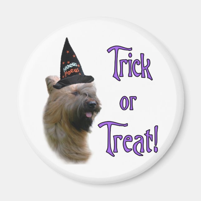 Aimant Briard Trick (Devant)