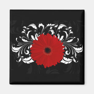 Aimant Bright Red Gerbera Daisy on Black