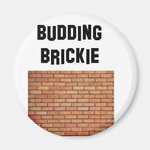 Aimant brikkie de bourgeonnement