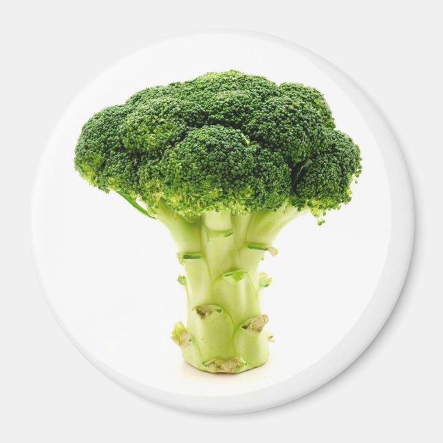 Aimant Brocoli de calabre (Devant)