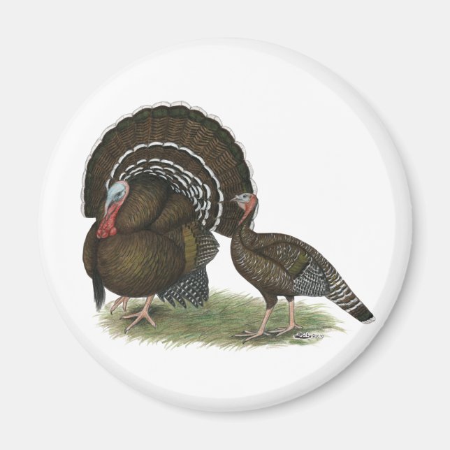 Aimant Bronze standard de Turkey (Devant)