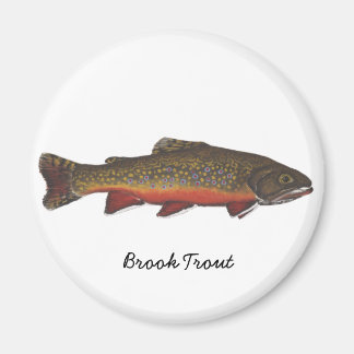 Aimant Brook Trout