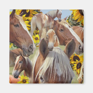 Aimant Brouillon Belge Cheval Collage
