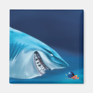 Aimant Bruce, Nemo et Dory 1