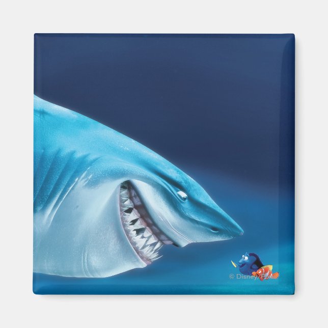 Aimant Bruce, Nemo et Dory 1 (Devant)