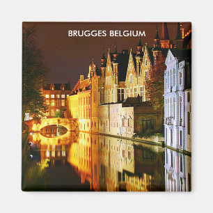 AIMANT BRUGGES BELGIQUE