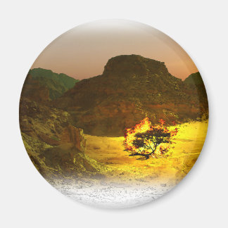 Aimant Brûler Bush 1