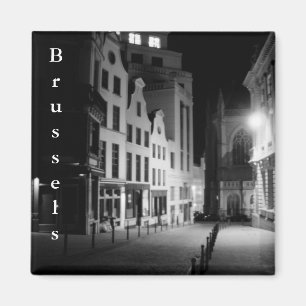 Aimant Bruxelles par nuit