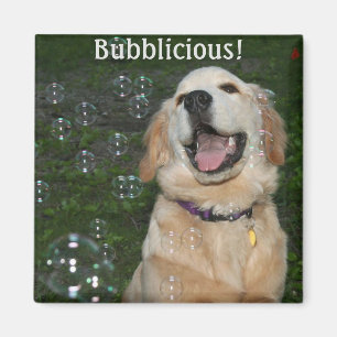 Aimant Bublicious Golden Retriever Puppy