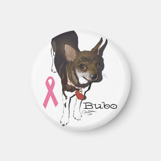 Aimant Bubo, le chihuahua