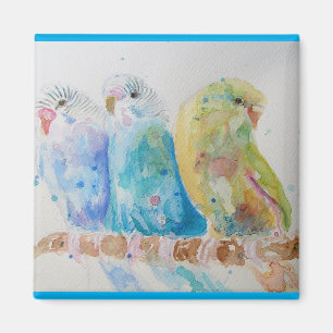Aimant Budgie Aquarelle Peinture d'oiseau Budgies Aqua Tu