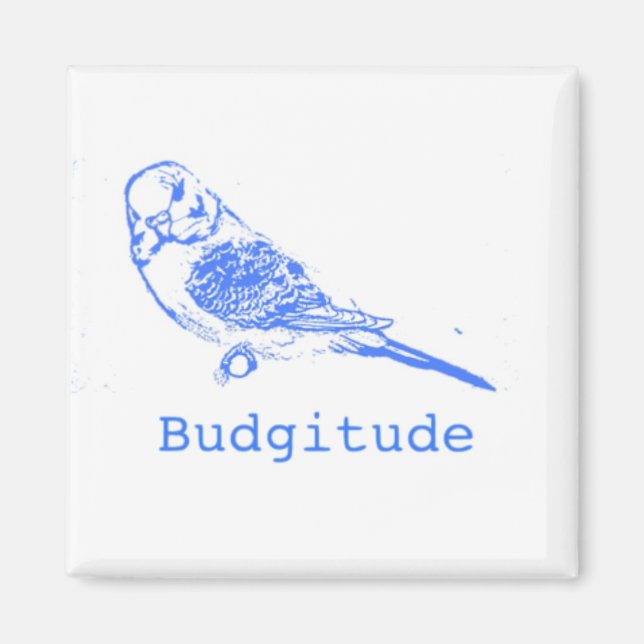 Aimant Budgitude (Devant)