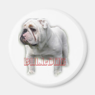 Aimant Bulldog ド